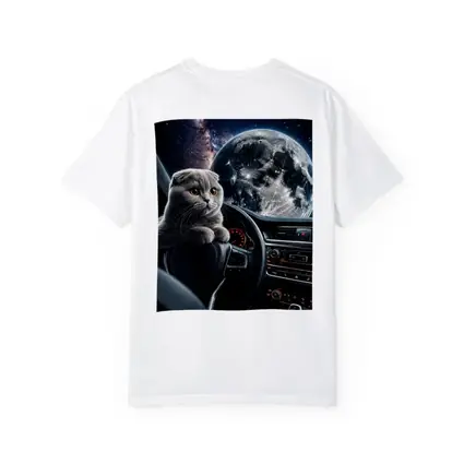 Scottish Fold Cat Driving Through Space