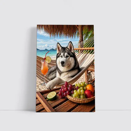 Siberian Husky Relaxing on Beach Hammock