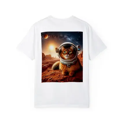 Somali Cat Astronaut on Mars Surface