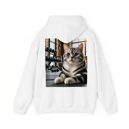American Shorthair Cat Gym Fitness Setting