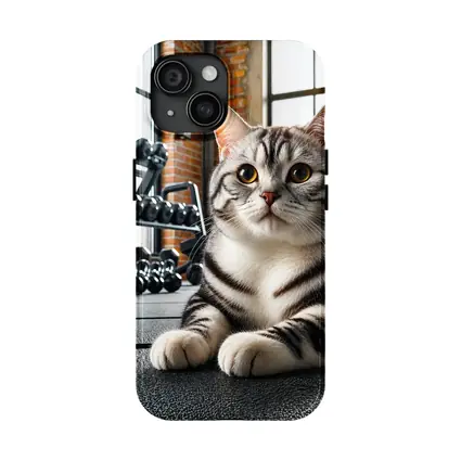 American Shorthair Cat Gym Fitness Setting