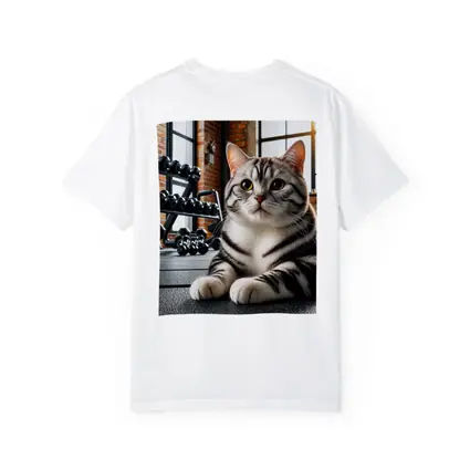 American Shorthair Cat Gym Fitness Setting
