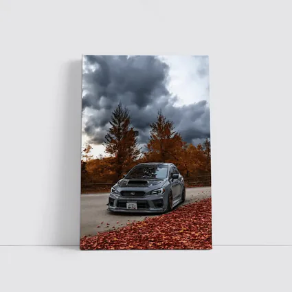Subaru WRX STI Gray Stormy Autumn Sky