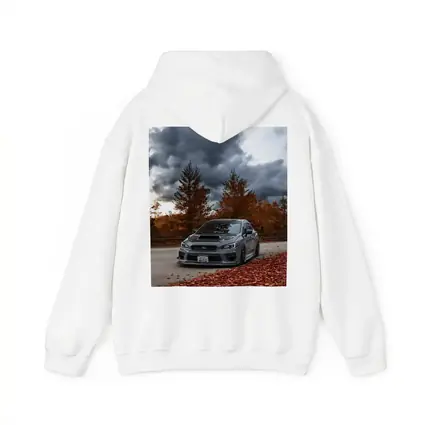 Subaru WRX STI Gray Stormy Autumn Sky