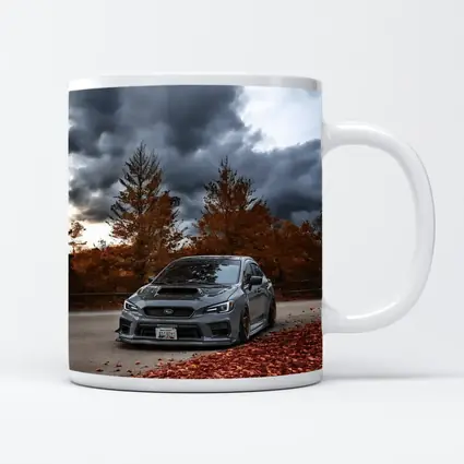 Subaru WRX STI Gray Stormy Autumn Sky