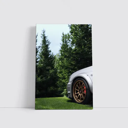 Subaru WRX Silver Bronze Wheels Green Trees
