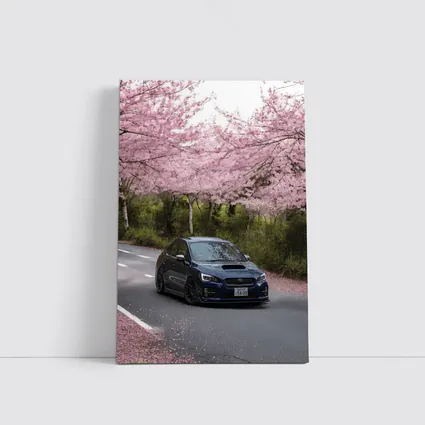 Subaru WRX STI Under Cherry Blossom Trees