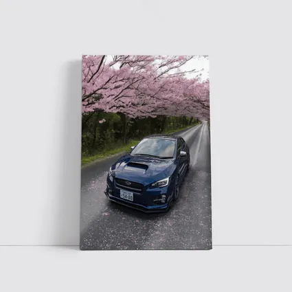 Subaru WRX Under Pink Cherry Blossom Road