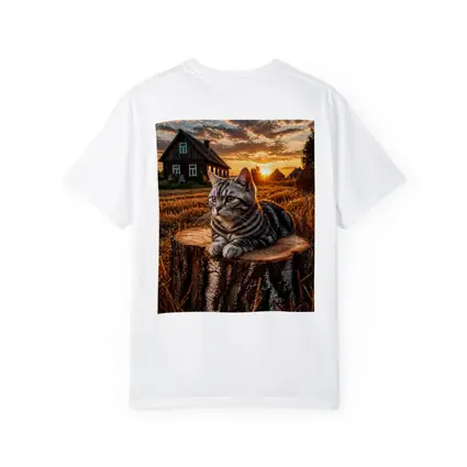 American Shorthair Cat Rural Sunset Field