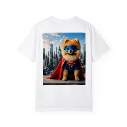 Pomeranian Superman Costume City Skyline