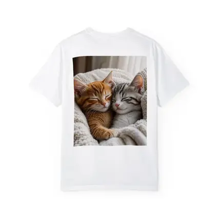 Two Sleeping Kittens Cuddled In Blanket