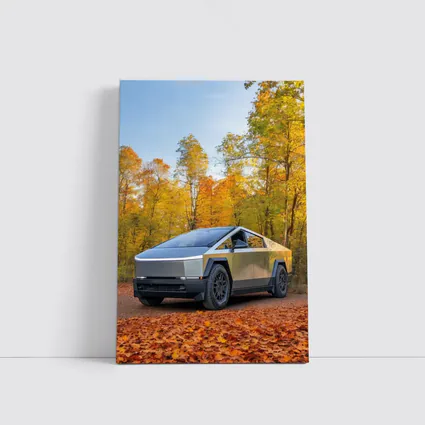 Tesla Cybertruck Parked Among Autumn Trees