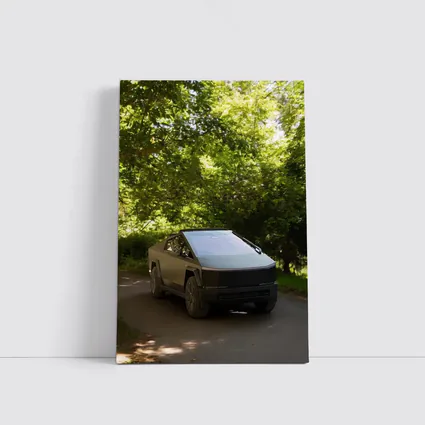 Tesla Cybertruck Parked On Forest Road