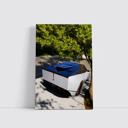 Tesla Cybertruck Parked Under Green Tree