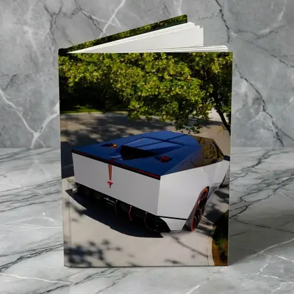 Tesla Cybertruck Parked Under Green Tree