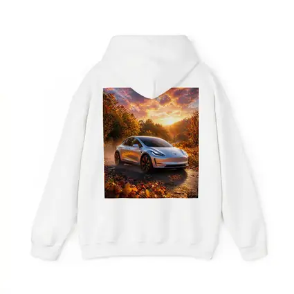 Tesla Model 3 Autumn Sunset Road Drive