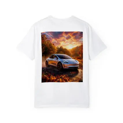 Tesla Model 3 Autumn Sunset Road Drive
