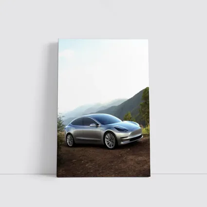 Tesla Model 3 Silver Mountain Scenic View