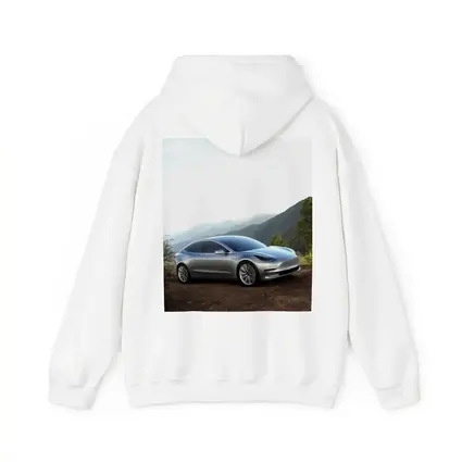 Tesla Model 3 Silver Mountain Scenic View