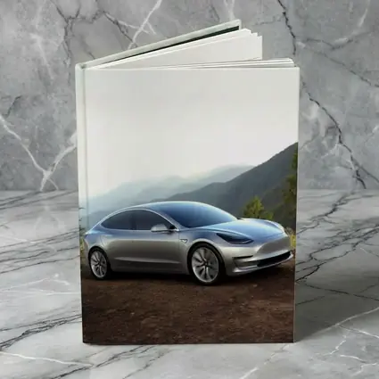 Tesla Model 3 Silver Mountain Scenic View