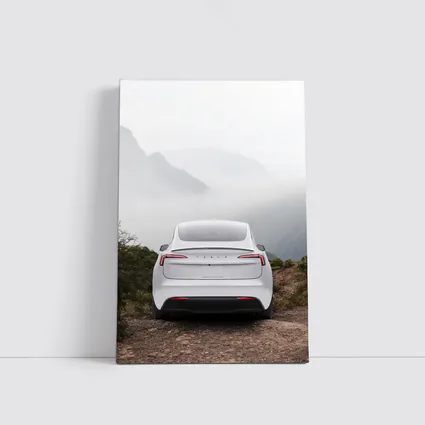 Tesla Model Y White Misty Mountain View
