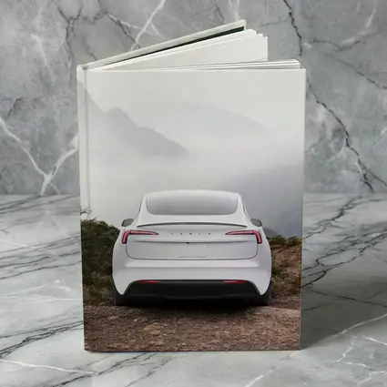 Tesla Model Y White Misty Mountain View