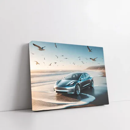 Tesla Model 3 Parked on Sunny Beach