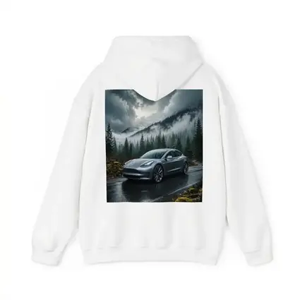 Tesla Model 3 Rainy Forest Mountain Road