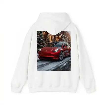Tesla Model 3 Red Car Winter Snow Scene