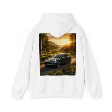 Tesla Model 3 Driving Forest Sunset Road