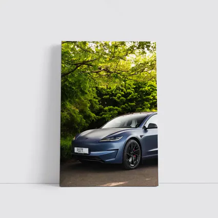 Tesla Model 3 Parked Among Green Trees