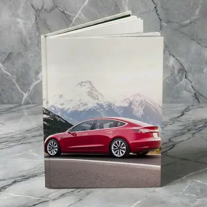 Red Tesla Model 3 Snow Mountain Road