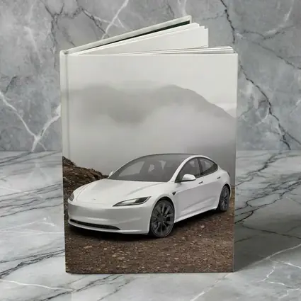 Tesla Model 3 White Misty Mountain Road