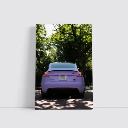 Purple Tesla Model Three Tree Lined Street