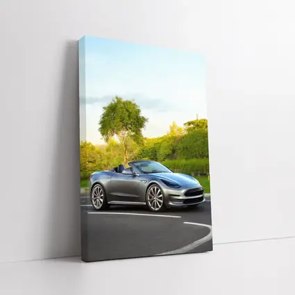 Tesla Roadster Convertible On Curvy Street