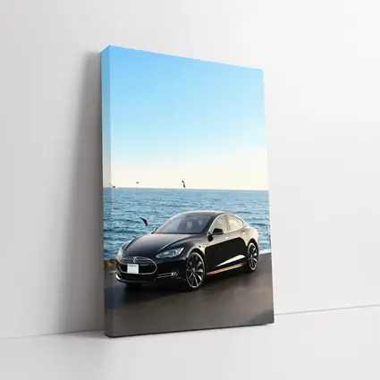 Tesla Model S Black Coastal Ocean View