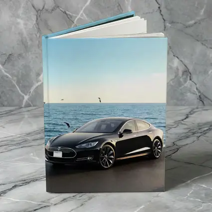 Tesla Model S Black Coastal Ocean View
