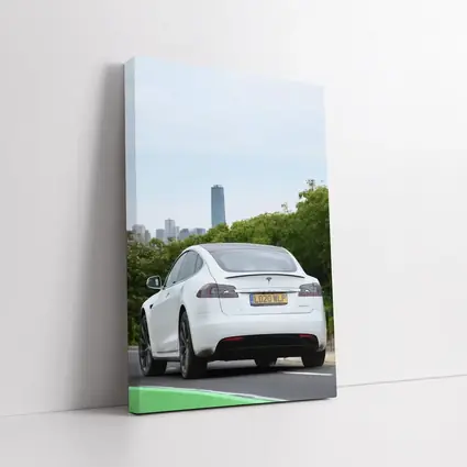 Tesla Model S White City Skyline Drive