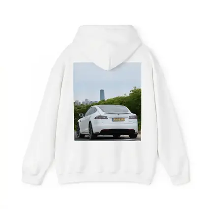 Tesla Model S White City Skyline Drive