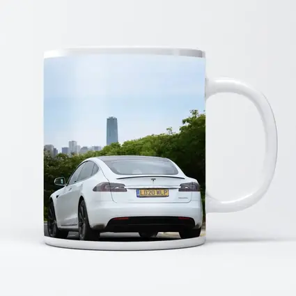 Tesla Model S White City Skyline Drive