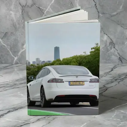 Tesla Model S White City Skyline Drive