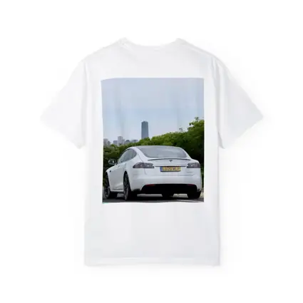 Tesla Model S White City Skyline Drive