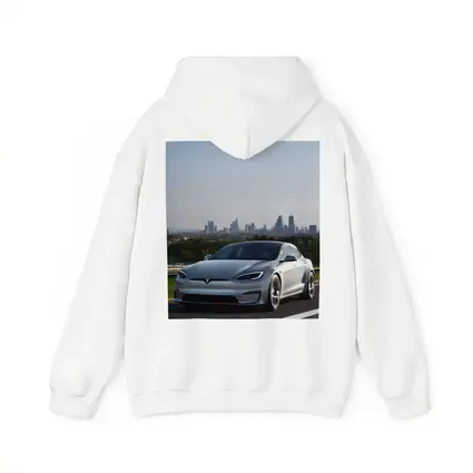 Tesla Model S Silver City Skyline Background
