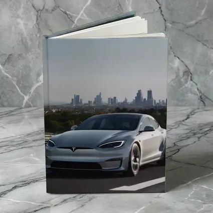 Tesla Model S Silver City Skyline Background