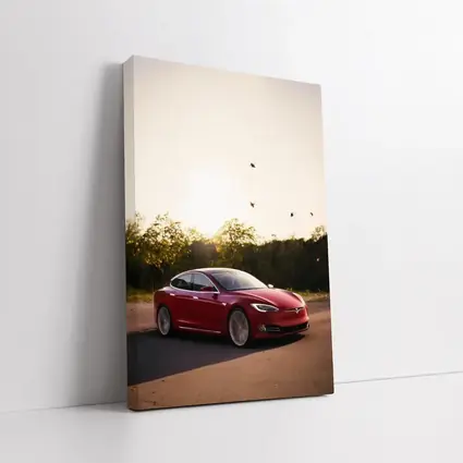 Tesla Model S Red Car Sunset Trees