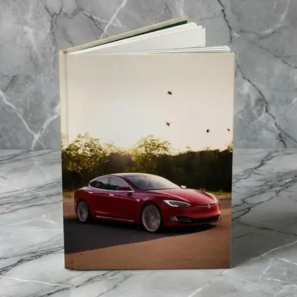 Tesla Model S Red Car Sunset Trees