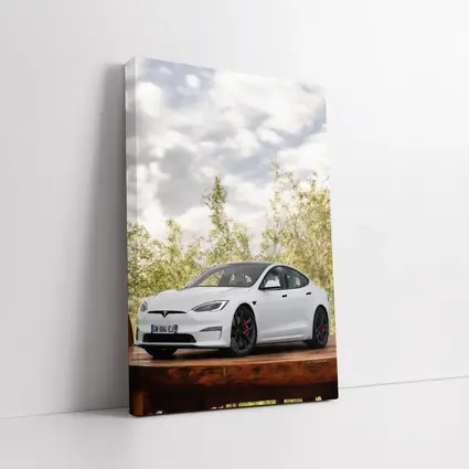 Tesla Model S White Car Outdoor Setting
