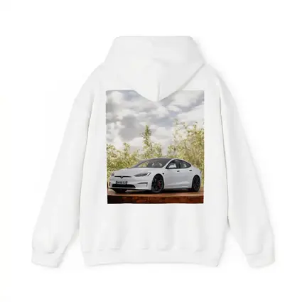 Tesla Model S White Car Outdoor Setting