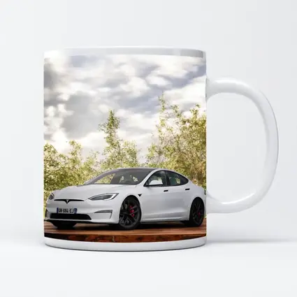 Tesla Model S White Car Outdoor Setting