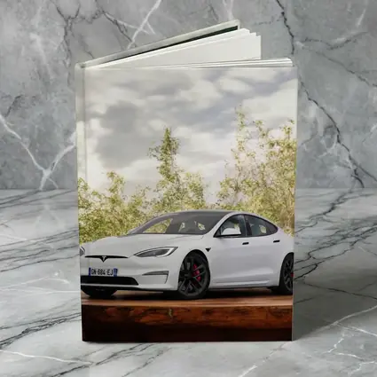 Tesla Model S White Car Outdoor Setting